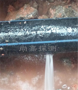 田家庵消防管道漏点探测